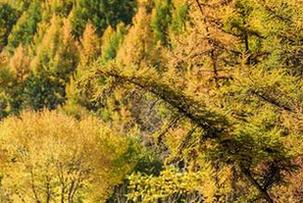 选袜子的时间比选图包还纠结，爱丝的“玩袜”写真真是让我感叹：选择困难症加重了！