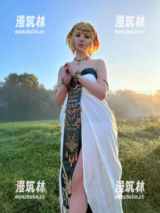 贴心提醒：不要在工作时翻看Vinnegal的塞尔达cos照片，后果自负