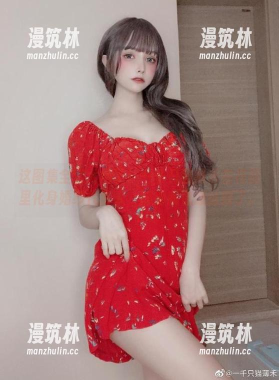 这图集全套太绝了！一千只猫薄禾在花园里化身婚纱代言人，搞得我也想结婚了。