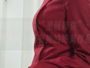 丽柜 – 桃子带来的“圣诞特供”：不再只有姜饼和火鸡，还有她的绝美作品分享！