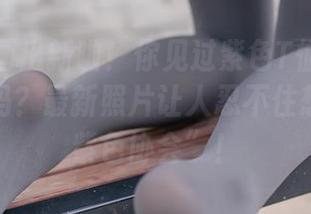 兔玩映画出新啦！你见过紫色T恤和白丝的组合吗？最新照片让人忍不住想加入“紫色协会”！