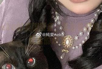 纯爱neko的美脚图集，怎么看都像是在搭配我的沙发！