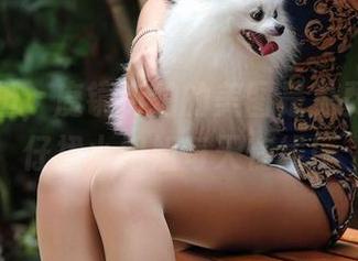 减轻负担，魔镜街拍的美图是免费的，牛仔裙小姐姐每天在线！